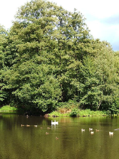 Afbeelding