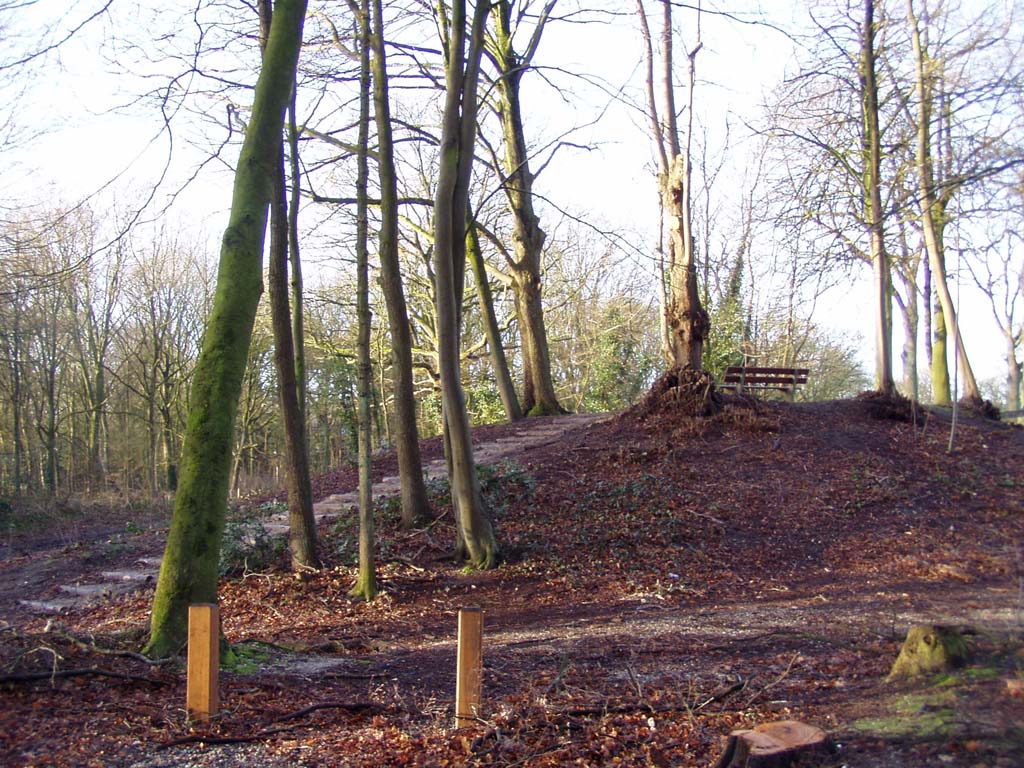 Afbeelding