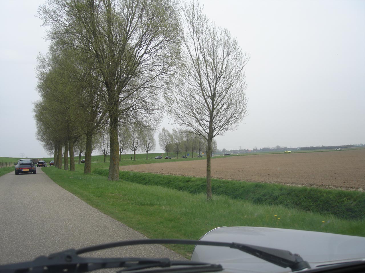 #16795 - hoeksche waard somewhere