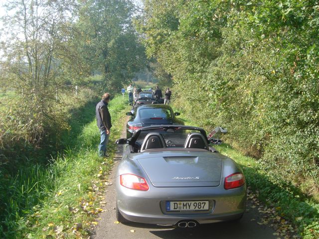 #21641 - mooie natuur