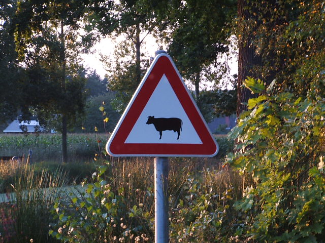 #21904 - Onderwegkiekjes van de rit