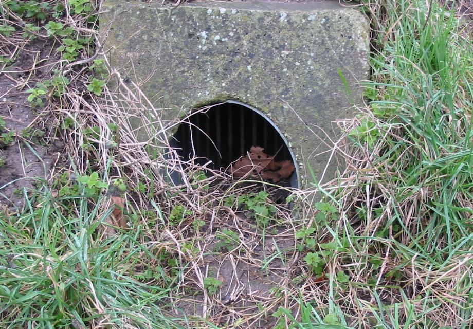 #23671 - Wist je hoeveel er hier van zijn op Bastion Groningen ? #23671 - Wist je hoeveel er hier van zijn op Bastion Groningen ?