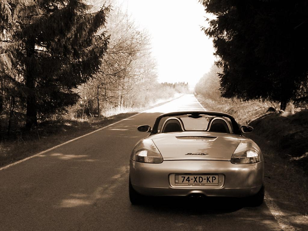 #24944 - Ardennen voorjaar 2007-foto4