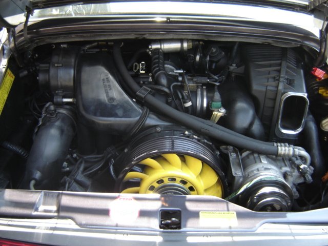 #31080 - Ms Vesuvius 7