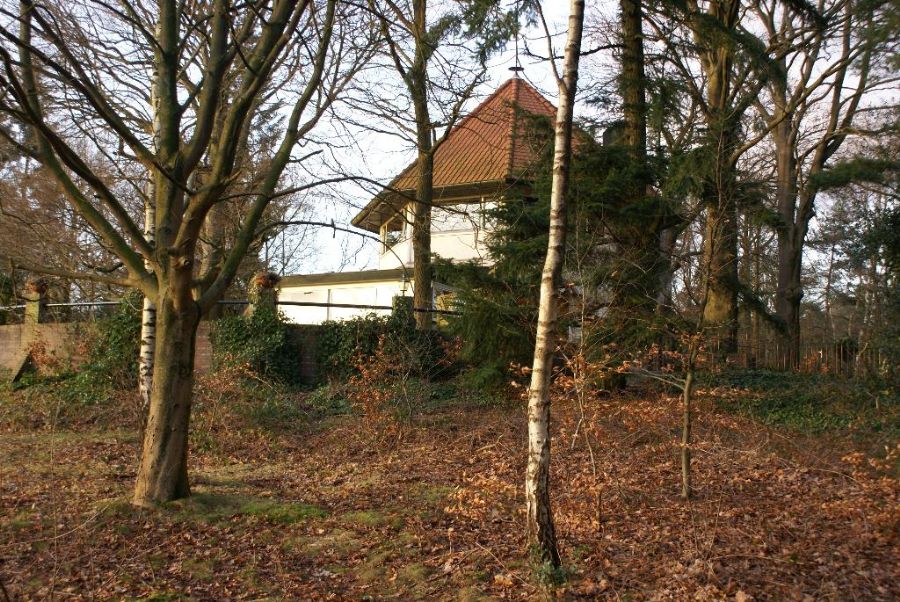 #31101 - vindplaats