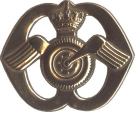 #48700 - PFT 70 AAT embleem