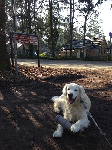 #57299 - PFT 79 Gevonden