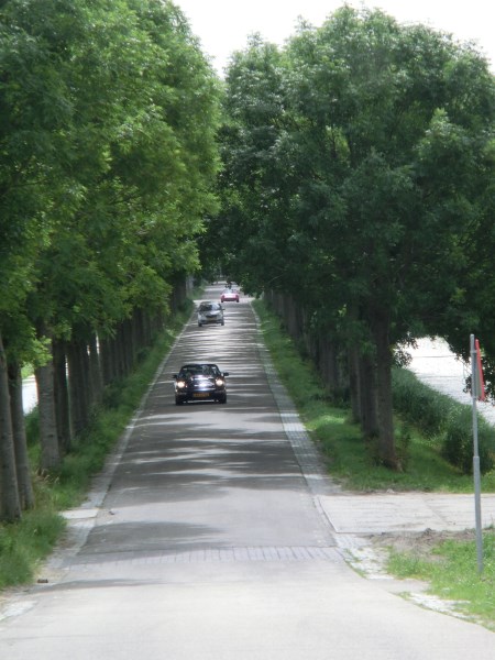 #61797 - Waterlandrit 15 juni 2014 door MyFirst964