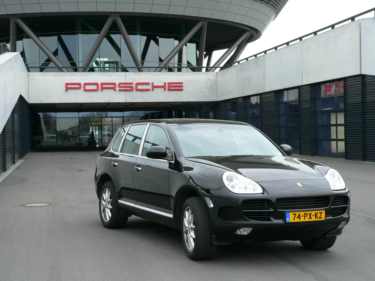 #9113 - zwarte cayenne