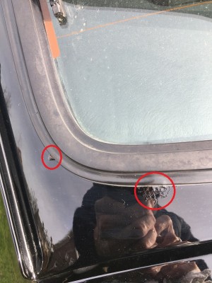 plekje_achterraam.jpg (202.89 KiB) 12856 keer bekeken plekje_achterraam.jpg